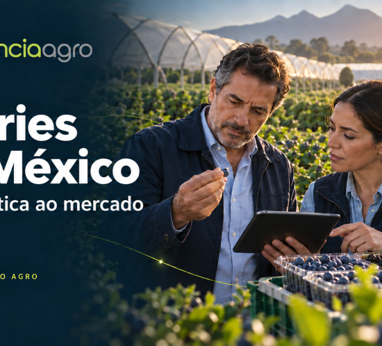 Ilustração editorial de dois profissionais avaliando berries junto a cultivos protegidos, com a identidade visual da AgenciaAgro.